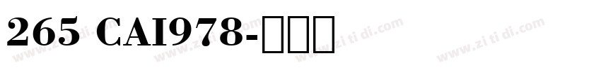 265 CAI978字体转换